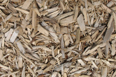 biomass boilers Balgunearie